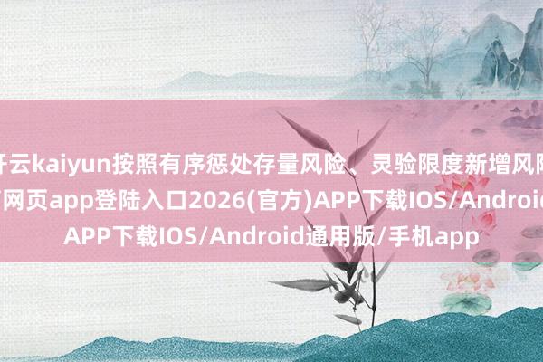开云kaiyun按照有序惩处存量风险、灵验限度新增风险的原则-kai云体育网页app登陆入口2026(官方)APP下载IOS/Android通用版/手机app